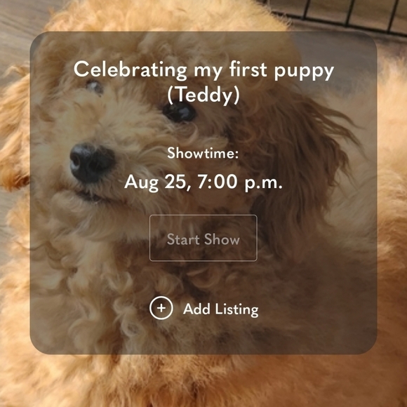 Save the show - Picture 3 of 4